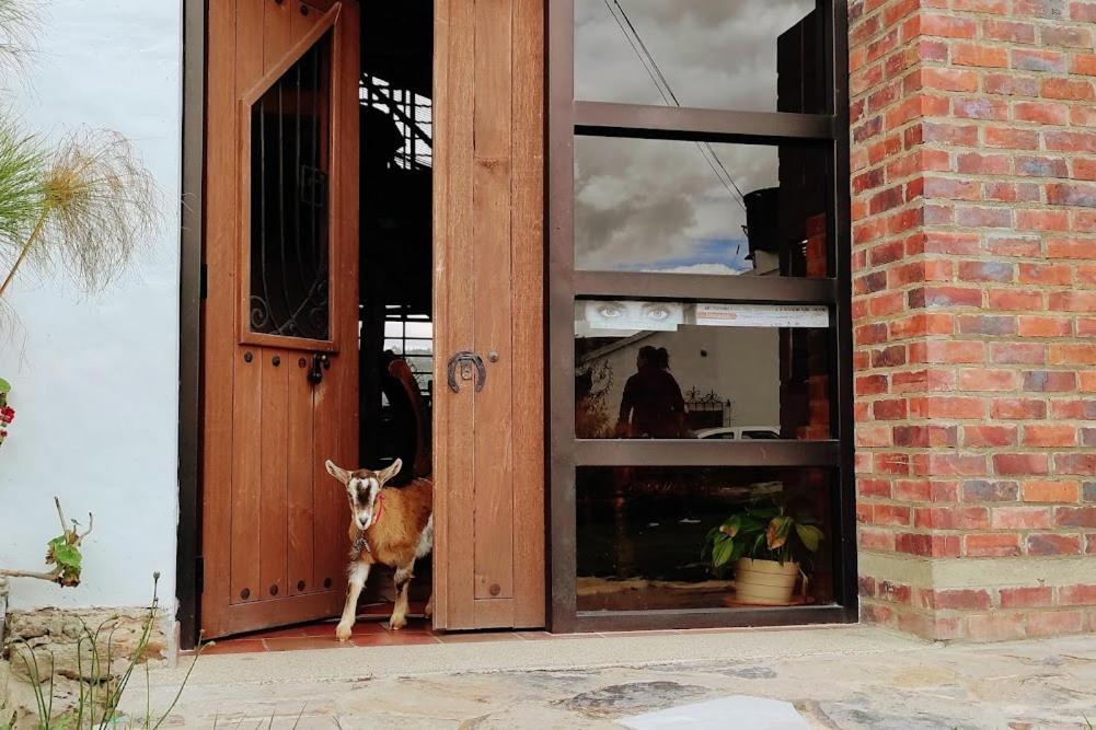 Cabanas & Glamping De Ruana Por Boyaca Paipa Zewnętrze zdjęcie