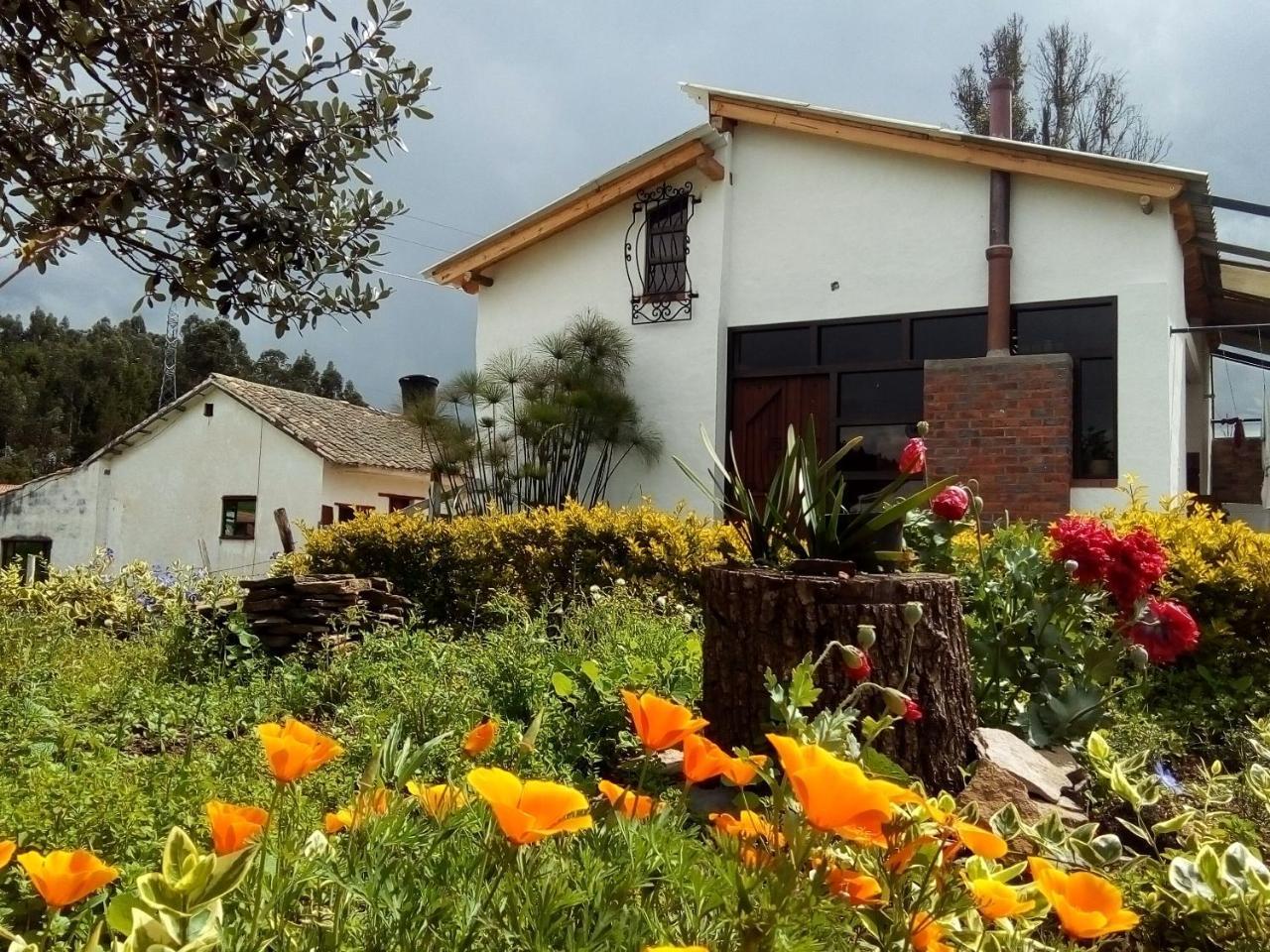 Cabanas & Glamping De Ruana Por Boyaca Paipa Zewnętrze zdjęcie